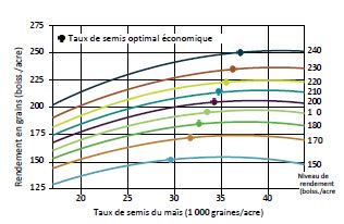 Réponse en rendement du maïs selon la population et le taux de semis économique optimal en fonction du niveau de rendement par site (moyenne sur sept ans de tous les hybrides testés).